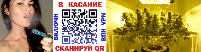 Продажа наркотиков Новомосковск Амфетамин  МЕФ  ГАШ  Канабис  COCAIN 