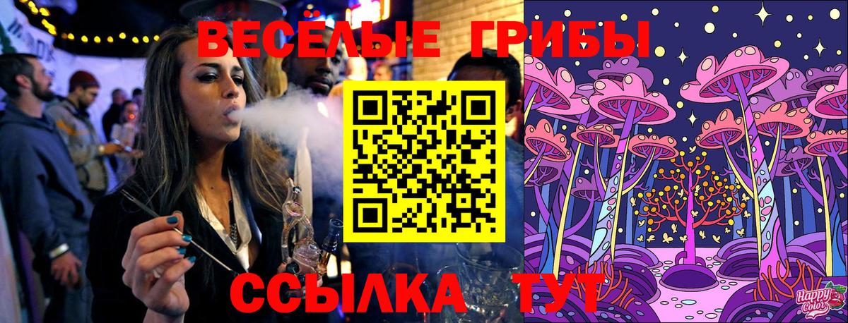 Галлюциногенные грибы GOLDEN TEACHER Новомосковск